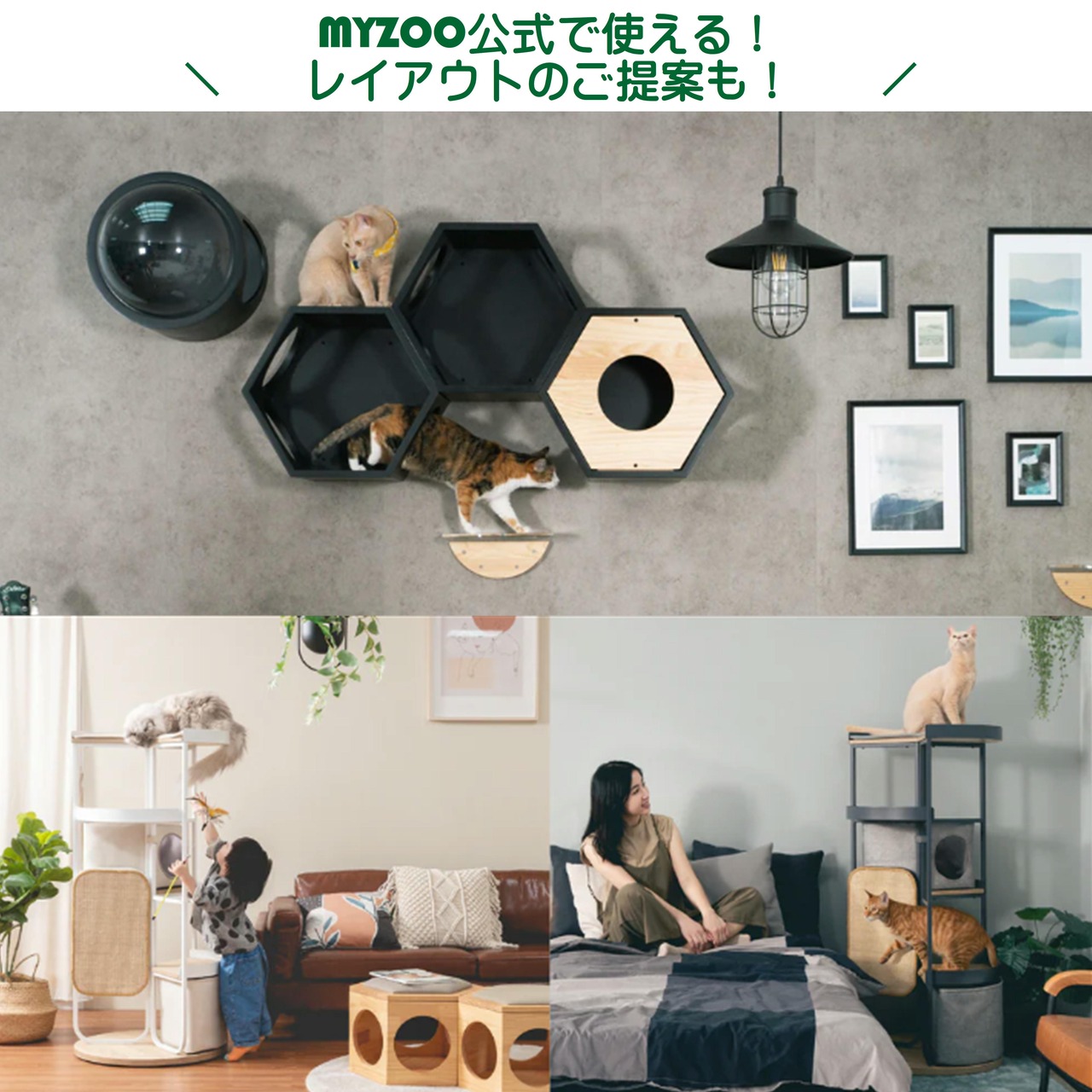 ※先着10名様に「ネコシャークベッド」プレゼント！【５万円分 チケット福袋】MYZOOショップで使えるチケット福袋！MYZOOコラボ,合計57,000円以上相当の猫グッズ！人気おやつ,ウェットフード付き！組み合わせは無限大！