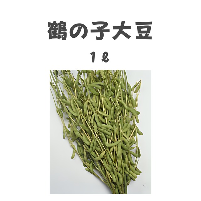 鶴の子大豆　ダイズ種子・1L