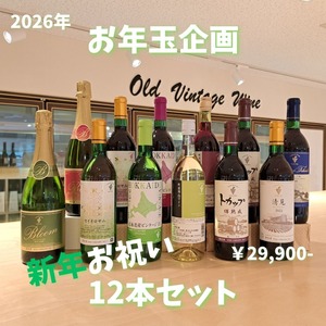 【2026お年玉企画】新年お祝い12本セット