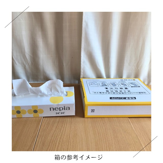 ＜クール便・5/23（土）収穫・発送＞【小さいサイズ】季節のお野菜セット
