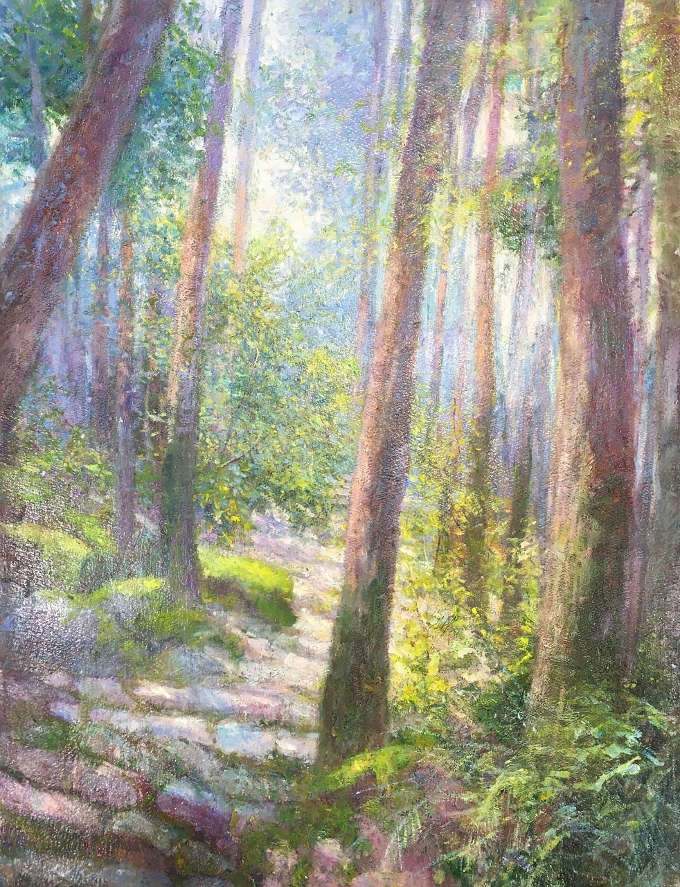 熊野古道(湯の峰温泉付近) | Kumano Kodo, close to Yunomine Onsen