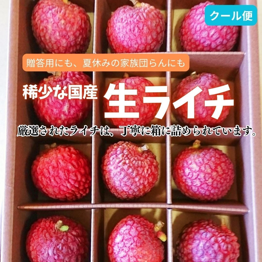 夏の贅沢デザート！ 希少厳選品 柴田農園の芳醇 ライチ 12個入り【数量