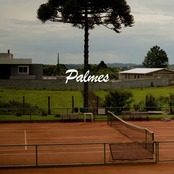 Palmes Wash Knit Polo