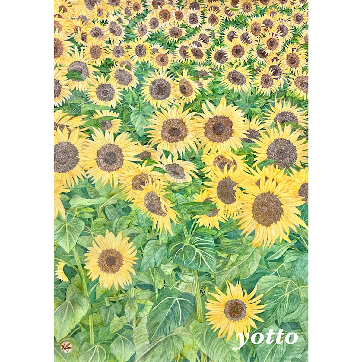 情熱 〜 ひまわり 〜 」 | yotto's gallery【 色鉛筆画 】