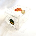 LOUIS VUITTON ルイヴィトン ボワットトランスペアレント  GI0732/MD0281 クリア