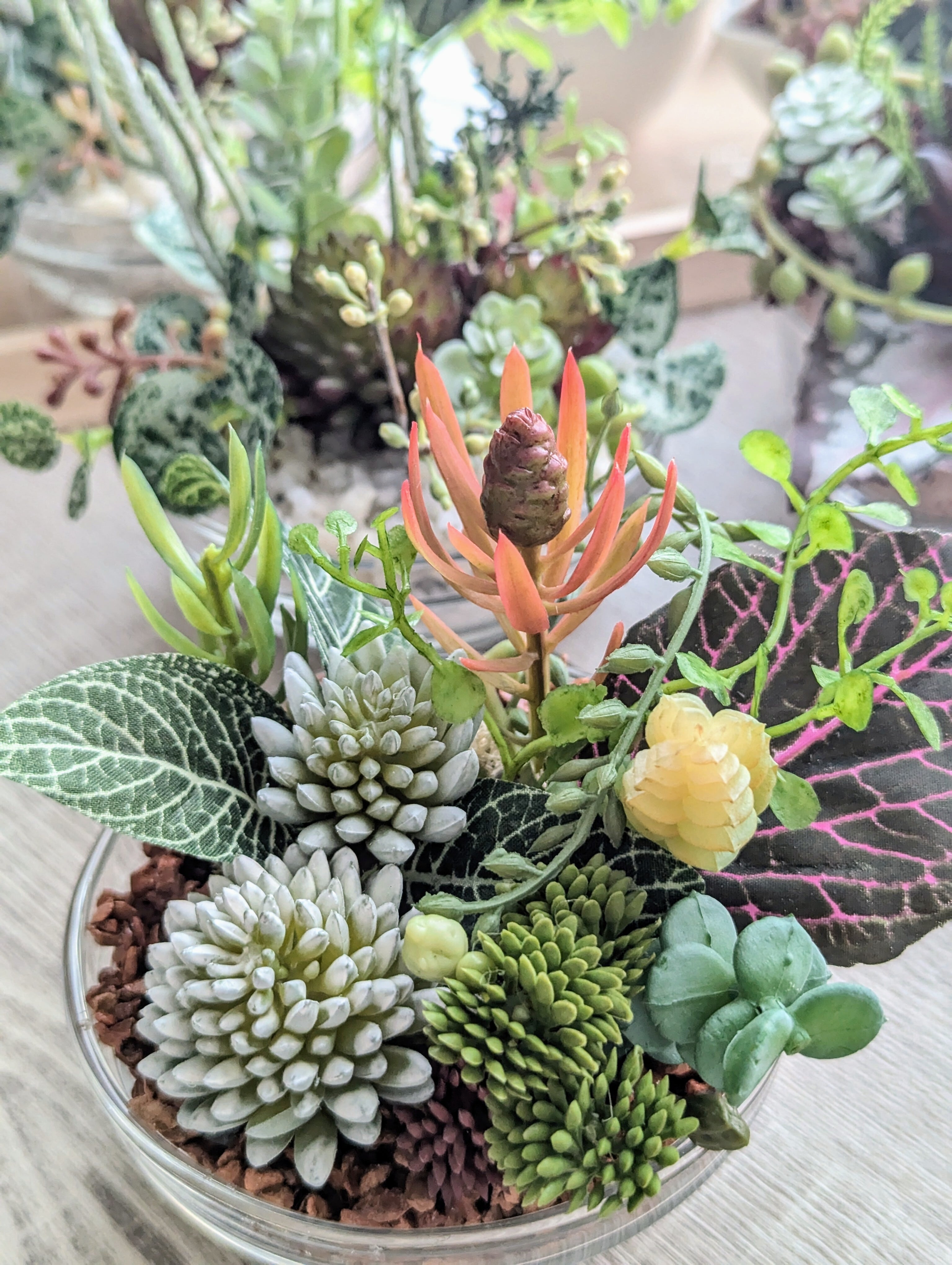 多肉植物&グリーンアレンジメント カラーストーン テラコッタ 寄せ植え