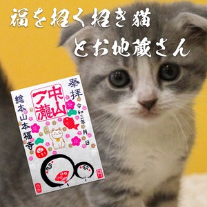 福を招く招き猫とお地蔵さん《癒しの猫御朱印帳特別企画》