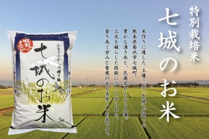 特別栽培米 七城のお米15kg