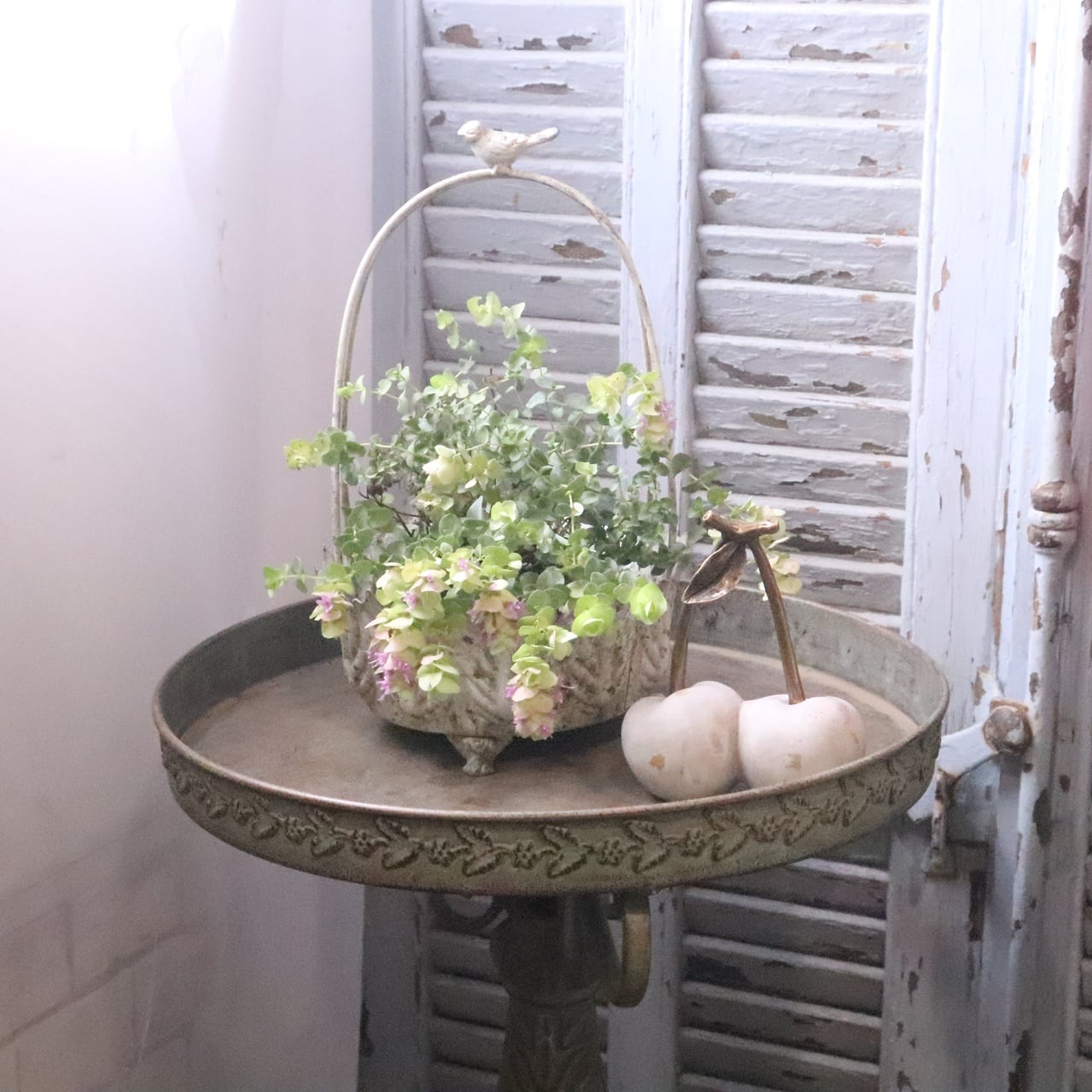 鉢（陶器・ブリキ） | シャビーシックな寄せ植え・雑貨 モンディマンシェ