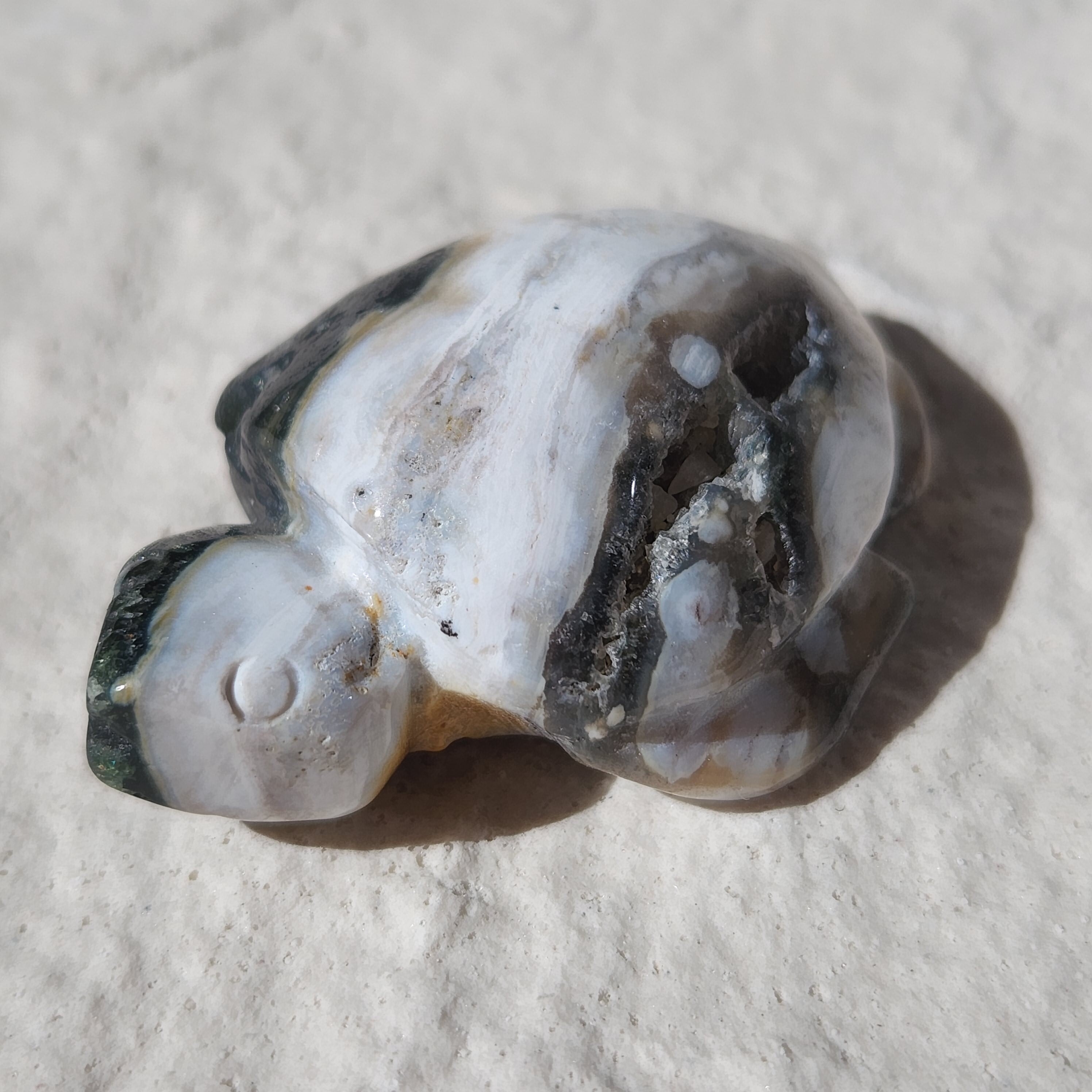 ✴8th Vein High Quality Ocean Jasper Turtle（8th Vein ハイ 
