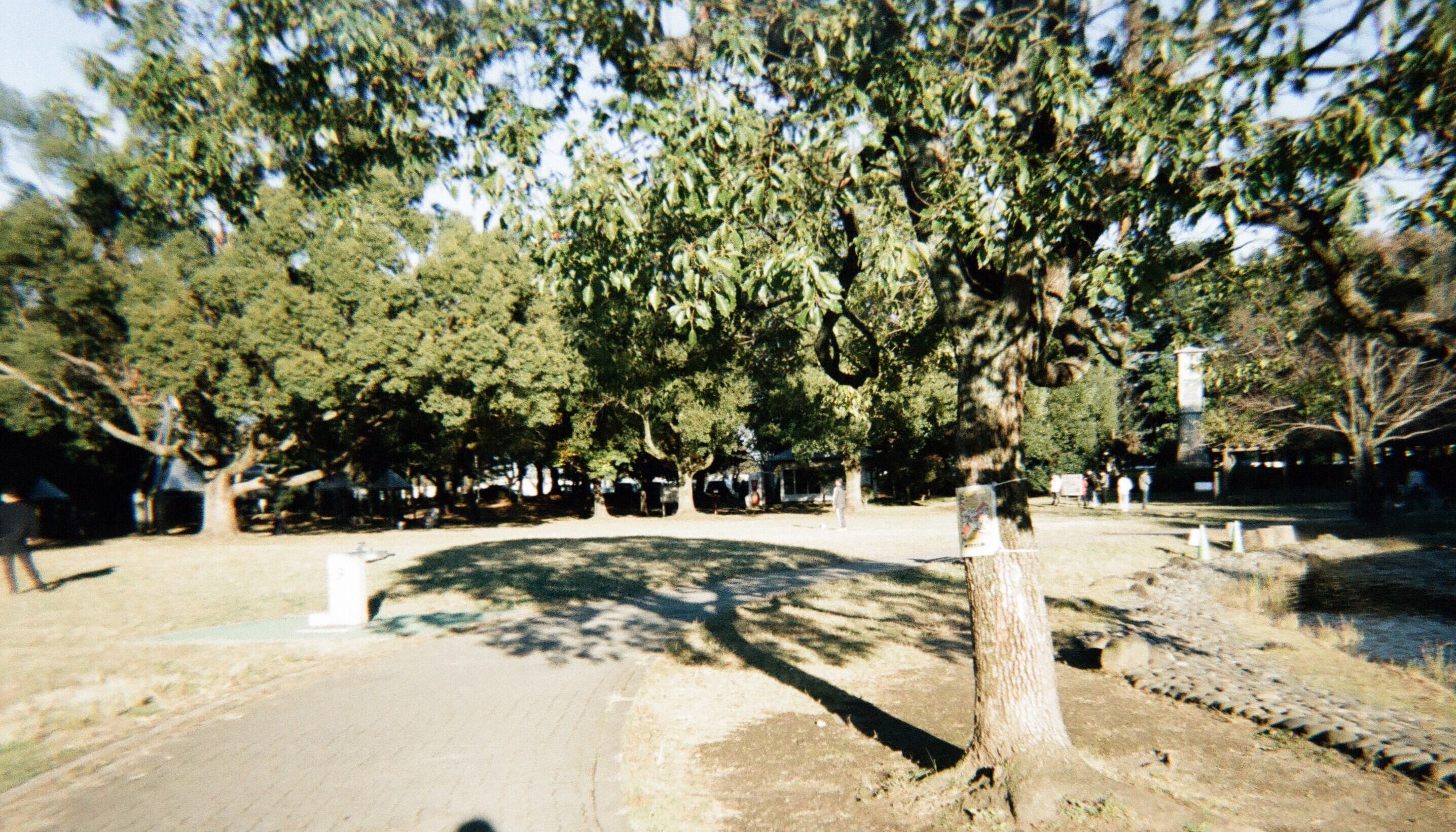 作例あり】FILM NEVER DIE ZATSU 400 35mmカラーネガフィルム 36枚撮り