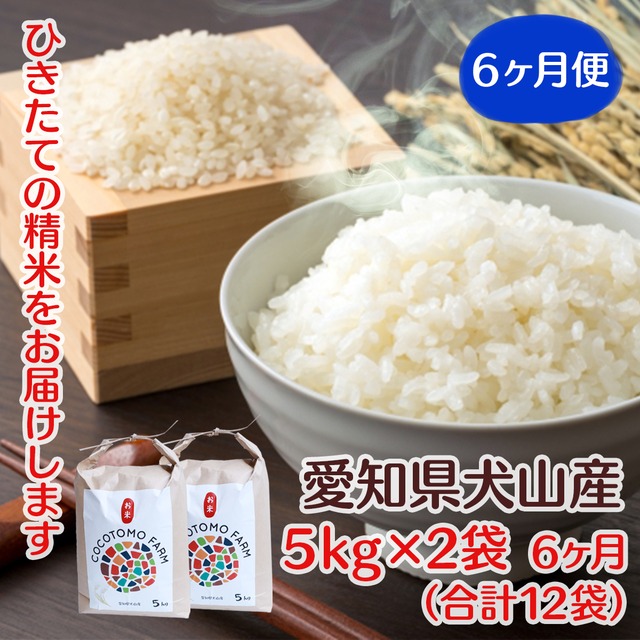 2023年収穫米　ゆめまつり　【定期便　5kg×2袋　6回】