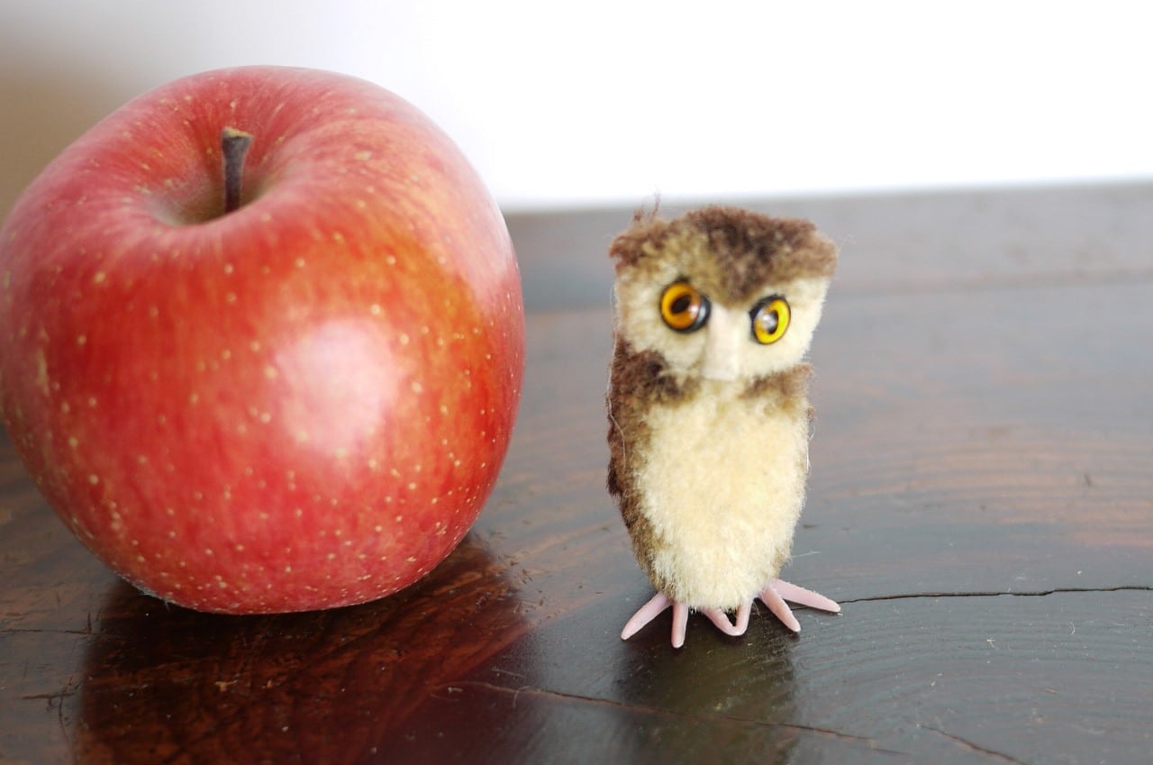 シュタイフ ポンポン フクロウ Woolen Owl | こりすのパン屋Base シュタイフ ポンポン フクロウ Woolen Owl | こりすのパン屋Base