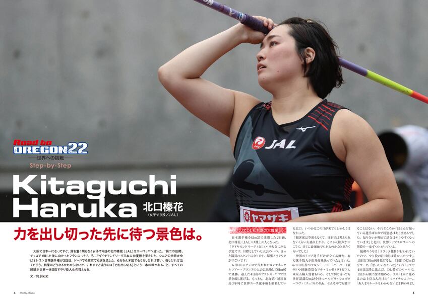 ドスベロ（インドの大運動会）新刊 BeckonoftheMirror2024 5/5おしながき - インドの大運動会