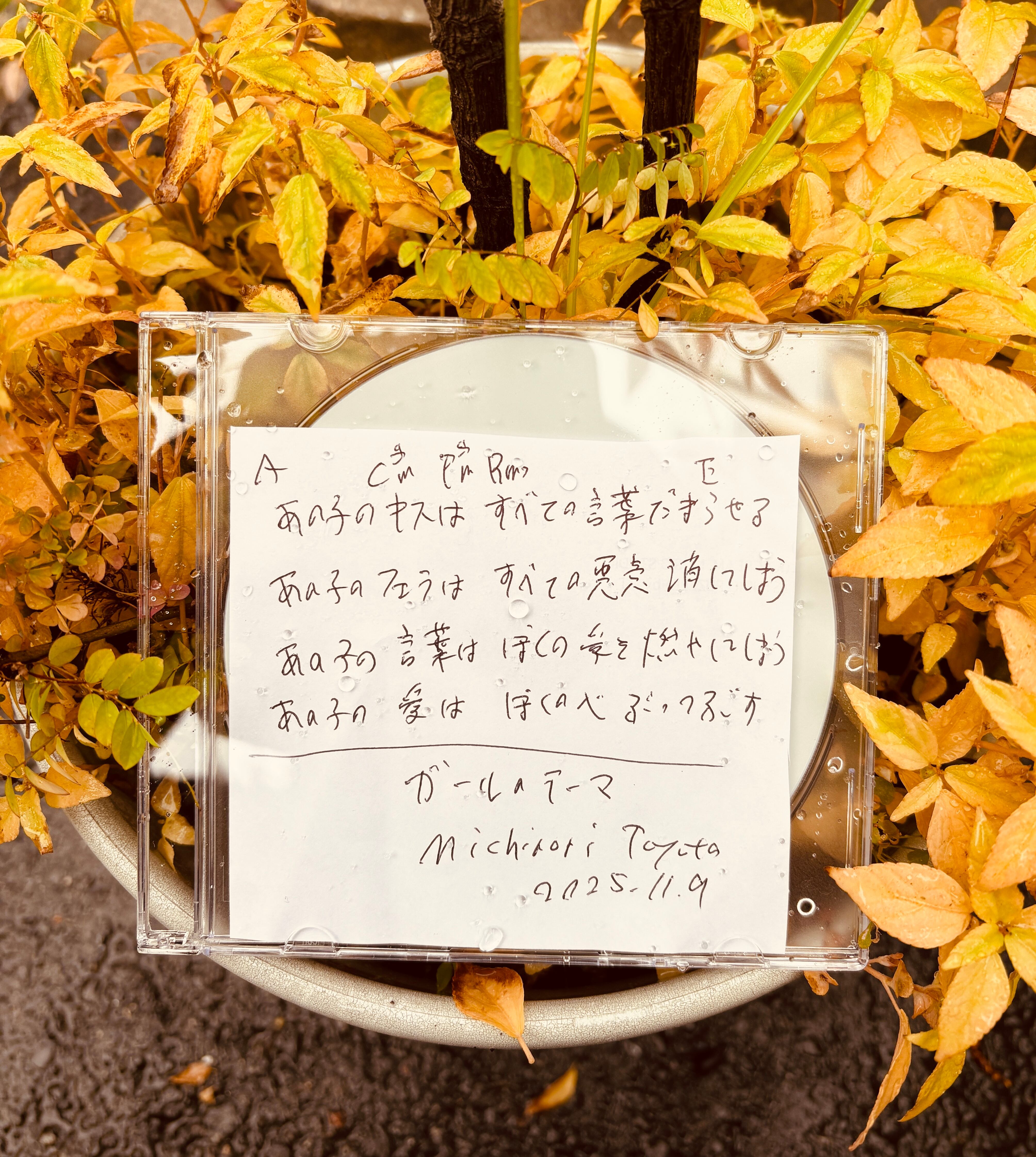 豊田商店