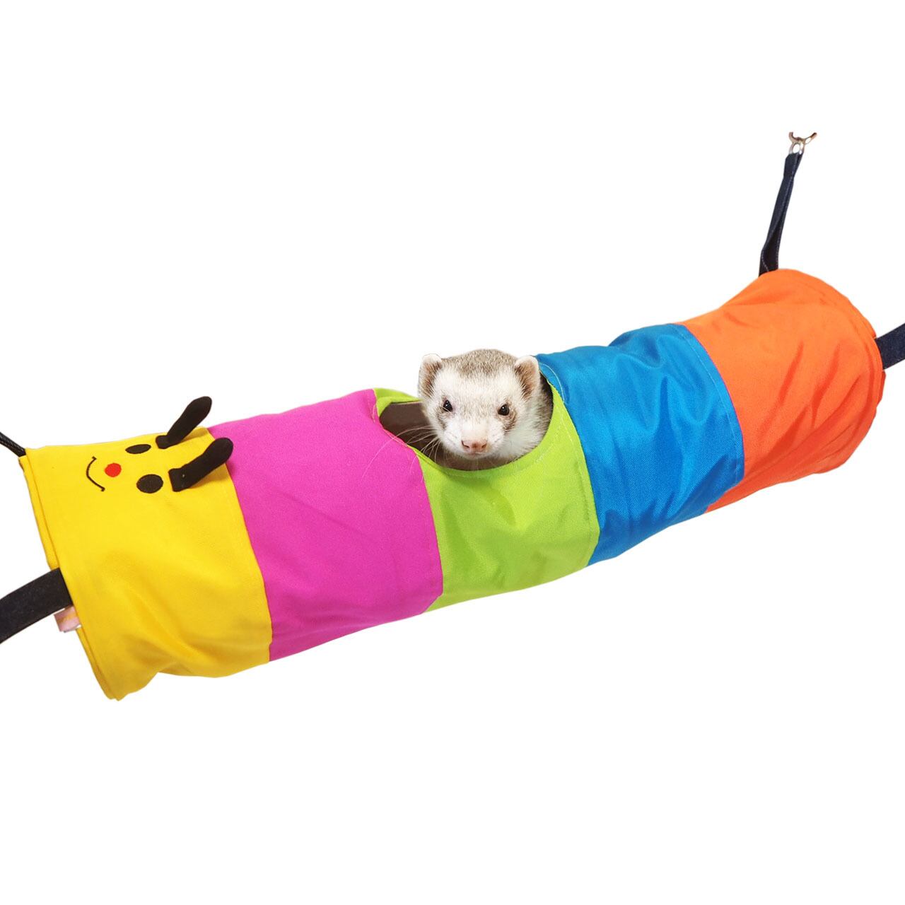 【フェレット】むしむしロングトンネル