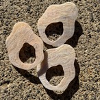 牡蠣のサークルクリップ