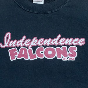 【GILDAN】インディペンデンス高校 フットボール ファルコンズ バックロゴ Independence Falcons's ロゴ プリント スウェットトレーナー プルオーバー 黒 M US古着