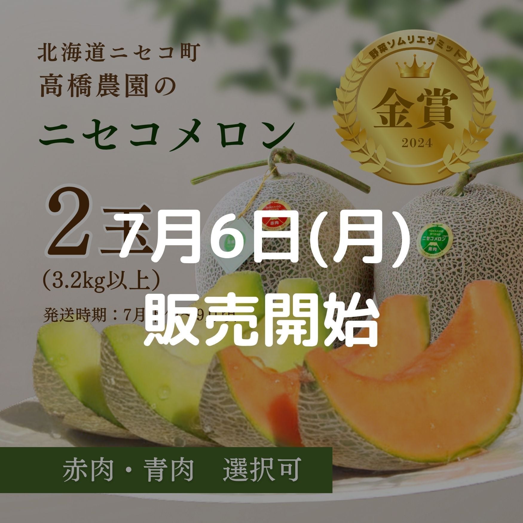 メロン2玉＜色指定可＞＜7月下旬～9月通常発送＞ | 北海道ニセコ町