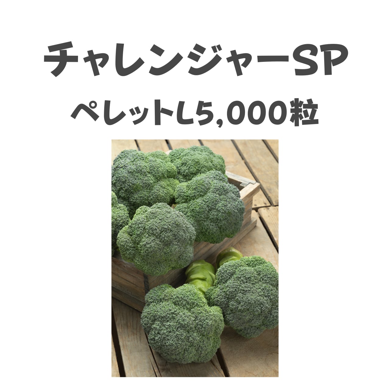 チャレンジャーSP ブロッコリー種子・ペレットL5,000粒