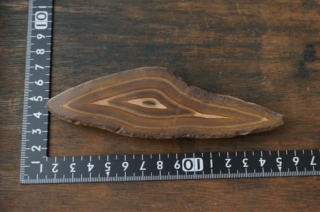 モロッコ産ストロマトライト Stromatolite 2211