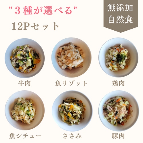 【選べる3種】お得 12パック 3種類 150g × 4セット 手作りドッグフード 犬ごはん 国産 無添加