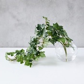 アイビー フェイクグリーン 人工観葉植物 卓上インテリア ガラス花瓶 水やり不要 つる植物 室内 ギフト