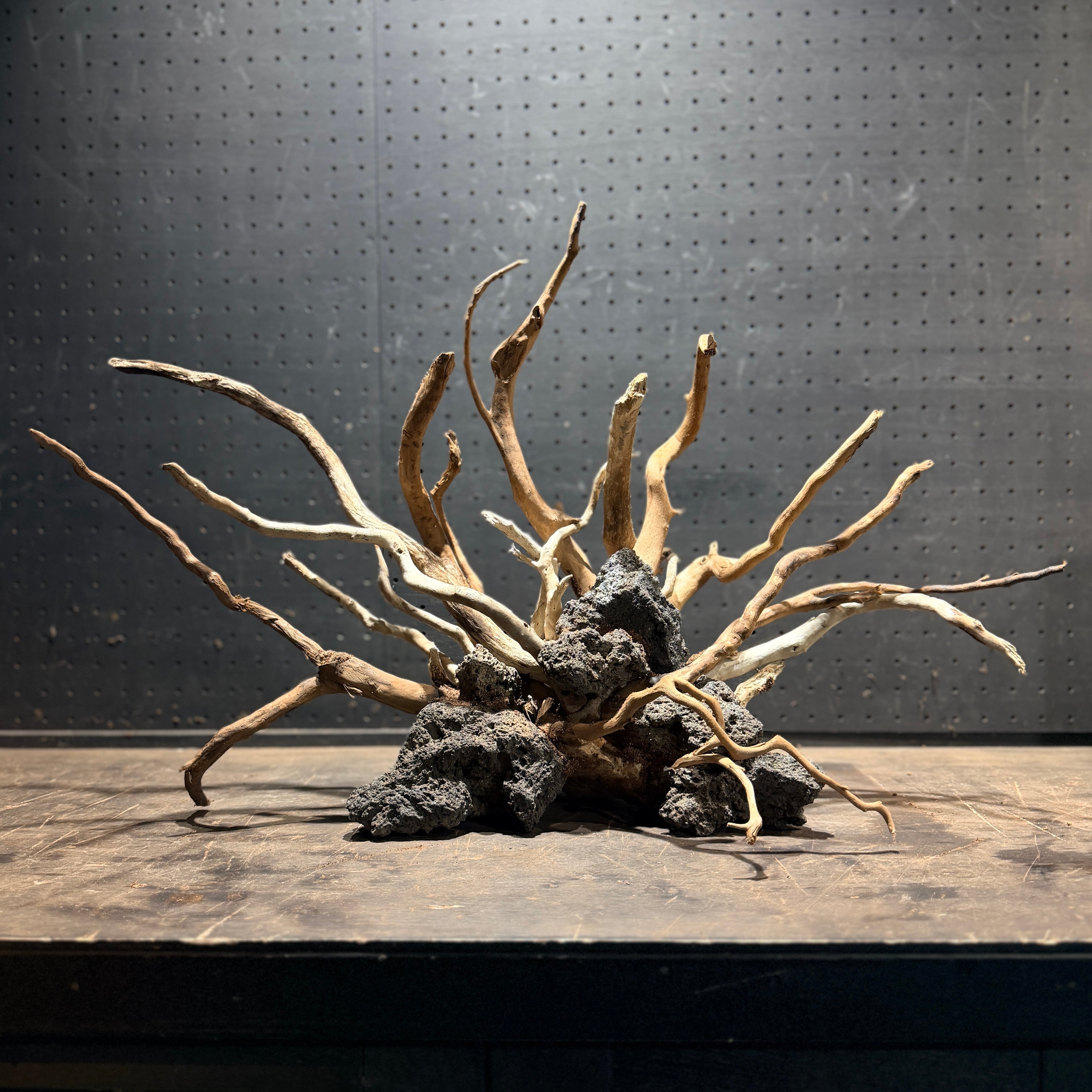 店長がまじめに選んだ アクアテラリウム用流木セット【005】 | ヒロセ