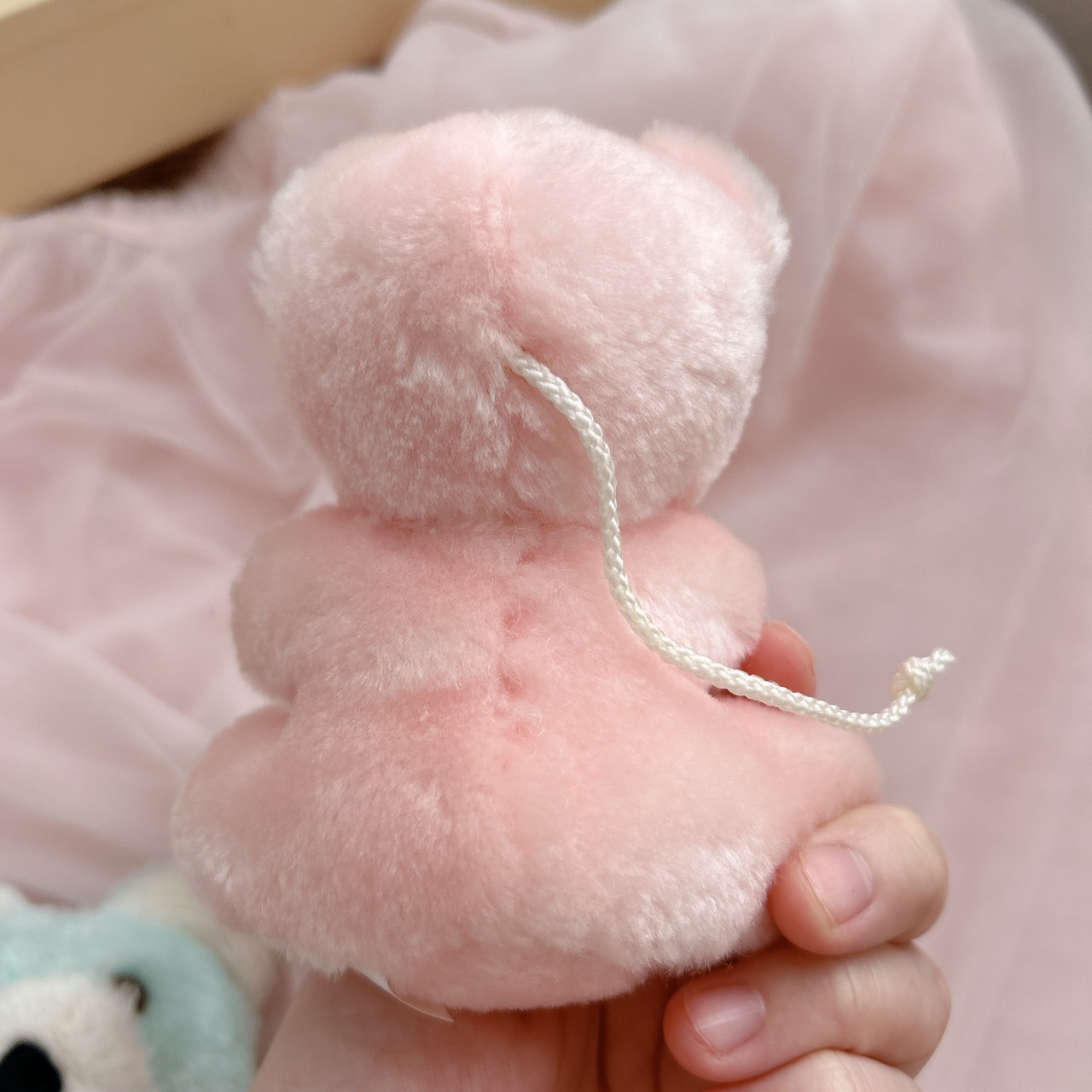 Pastel kumaの画像07