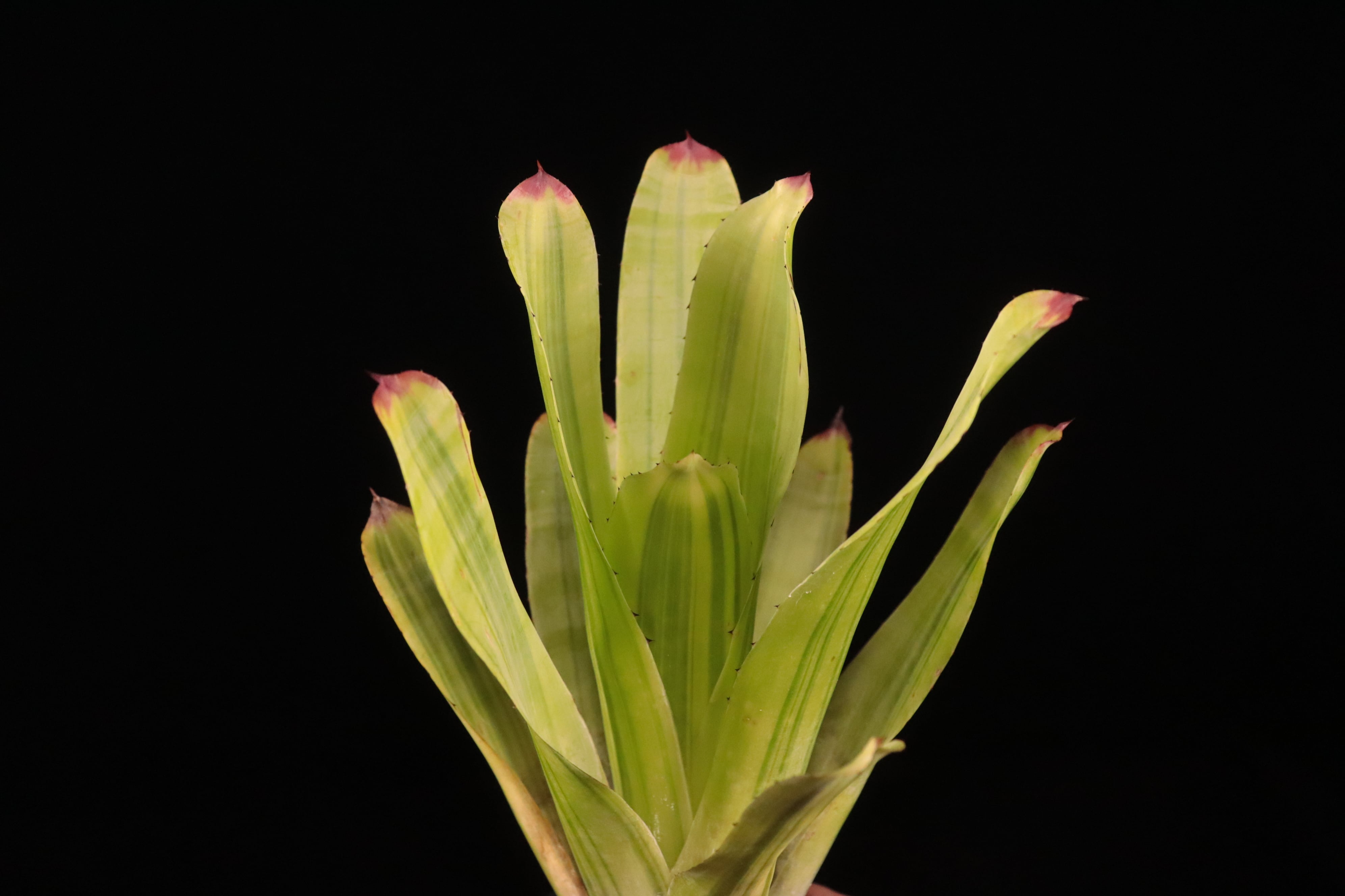 362feef485b90d5215440476359a67