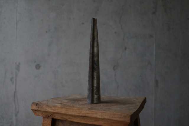 湖北省産頭足類化石 Sinoceras chinense 1662