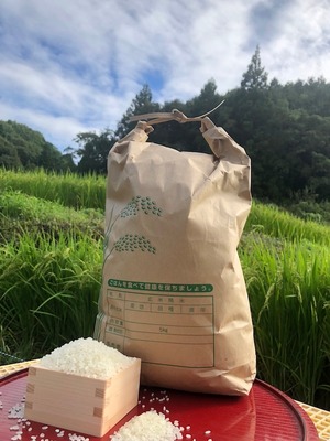 【白米20kg】愛媛　自家農園減農薬栽培　にじのきらめき　令和8年産新米！
