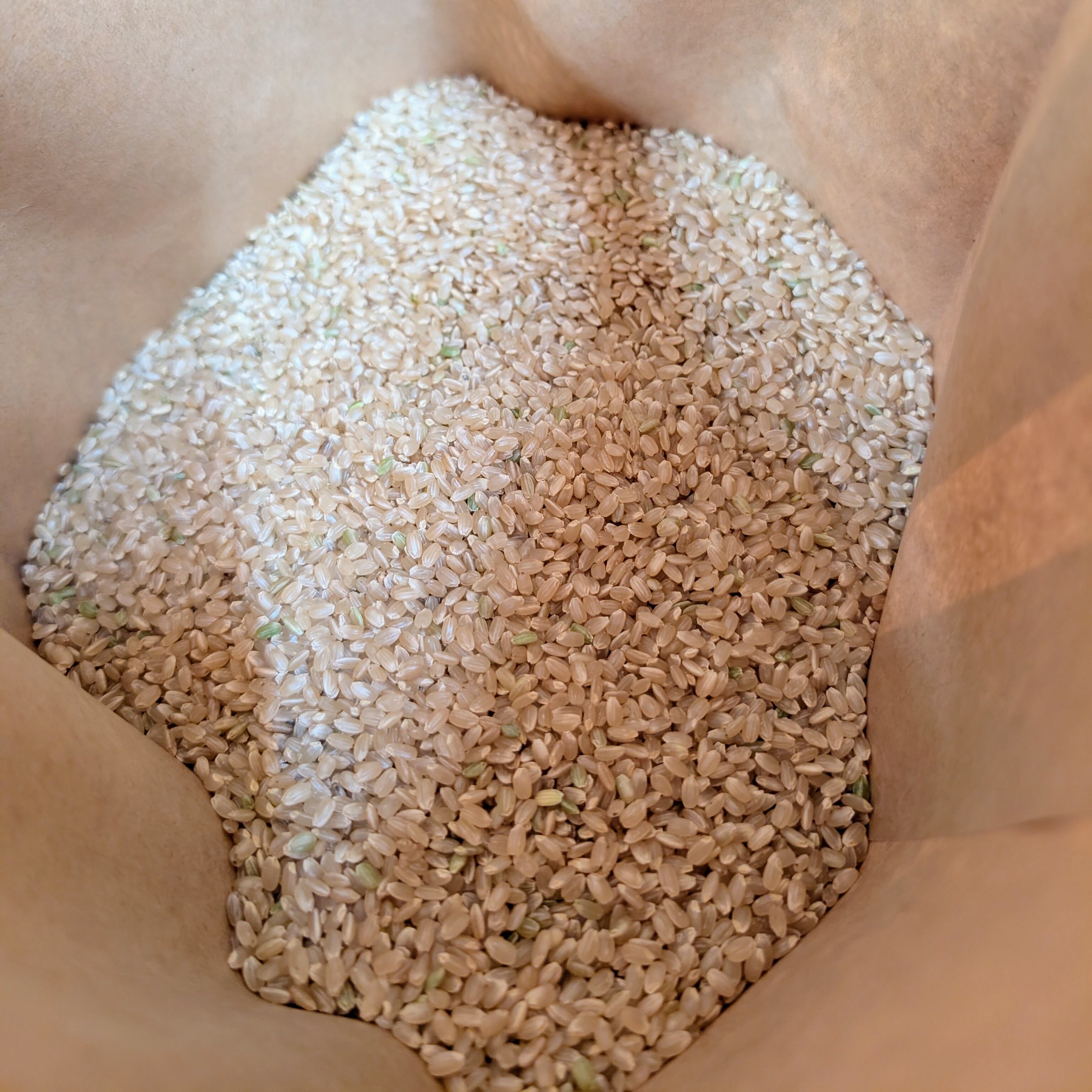 令和8年度ヒラヤマファームの玄米（10kg） | Hirayama Farm オンライン
