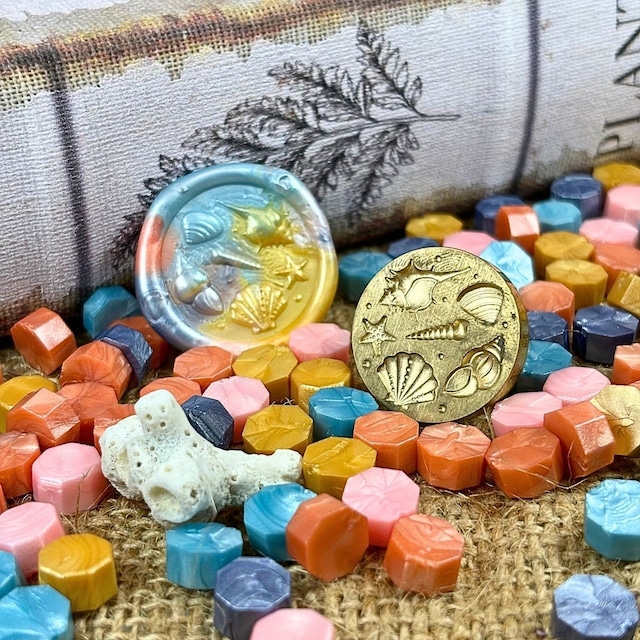 【25㎜】シェルビーチ2【スタンプヘッド】#SWH-61