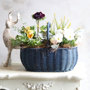 冬から春に楽しむ寄せ植え　アネモネファネモスとビオラの春まで綺麗なバスケットの寄せ植え　お正月にオススメ　届いてすぐ玄関に飾れる 　プレゼントにもオススメ　