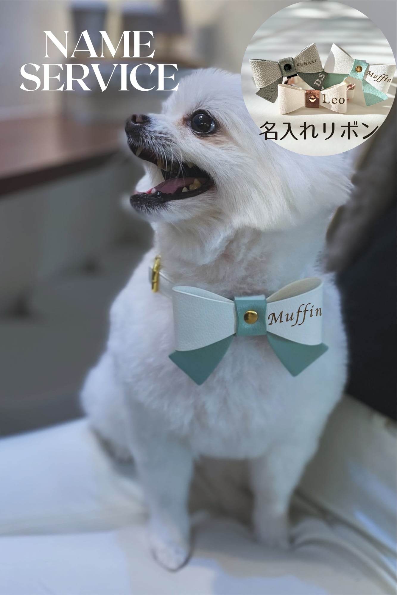 もぐ様*　size110　頭のリボン 名入れカラー4点SET | 選べるリボン付き(Snow white) | DoggyWiz