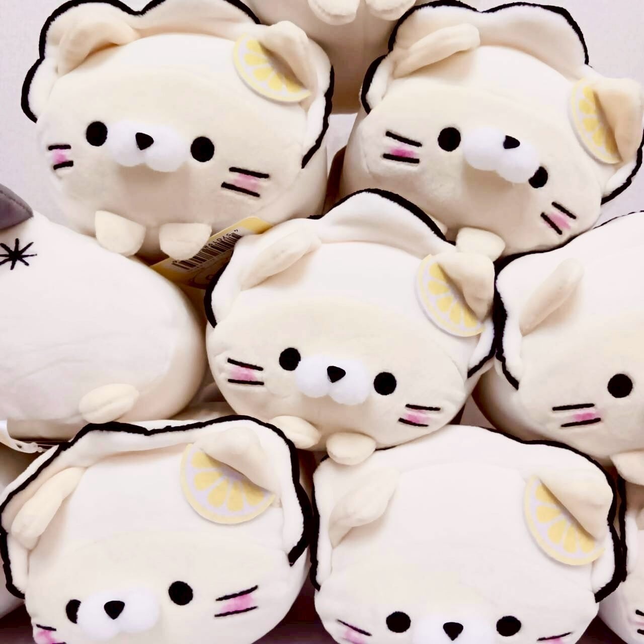 もちふわにゃんこ宮城 三陸カキ ぬいぐるみ | TORCH-Online Shop-