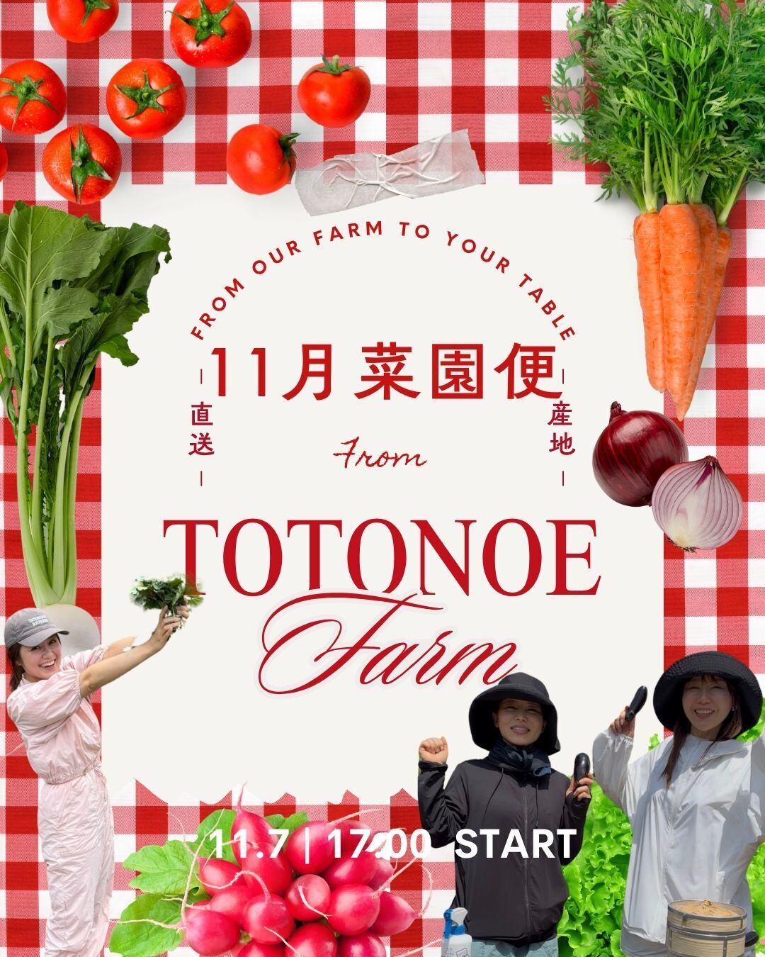 【食】11月4週分60サイズTOTONOEFARM お野菜BOX送料込