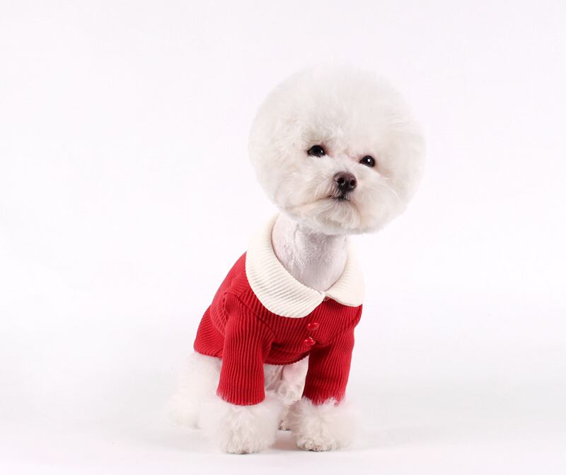 コーデュロイTシャツ S ~ XL 3color / 犬服 春物 新作 おしゃれ ドッグウェア 可愛い 犬の服 小型犬 中型犬 ペット用品 ペット洋服 top27