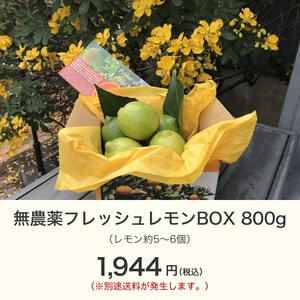無農薬フレッシュレモンBOX 800g【4月中旬~下旬収穫予定分】