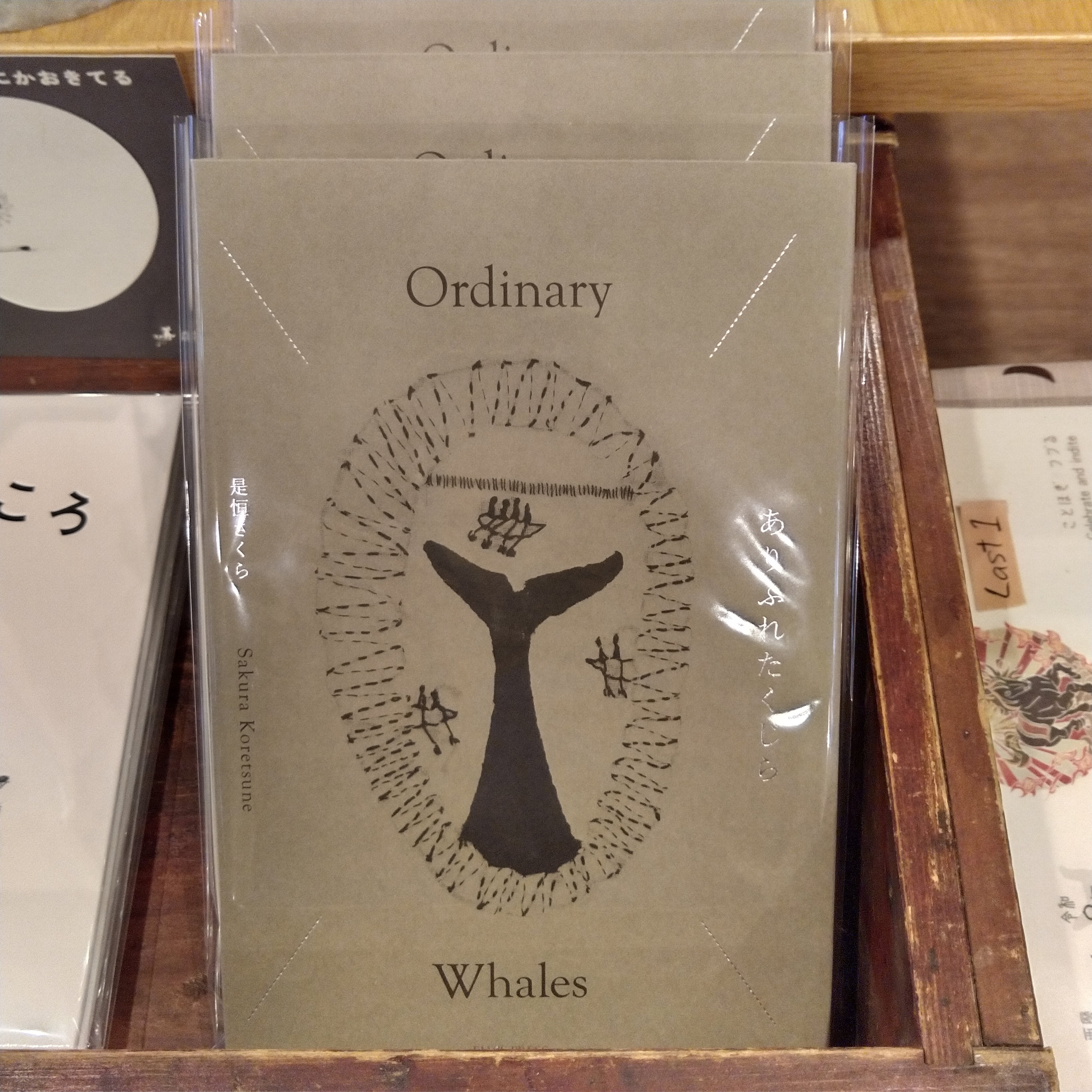 エゾシカの保全と管理 | Pay ID