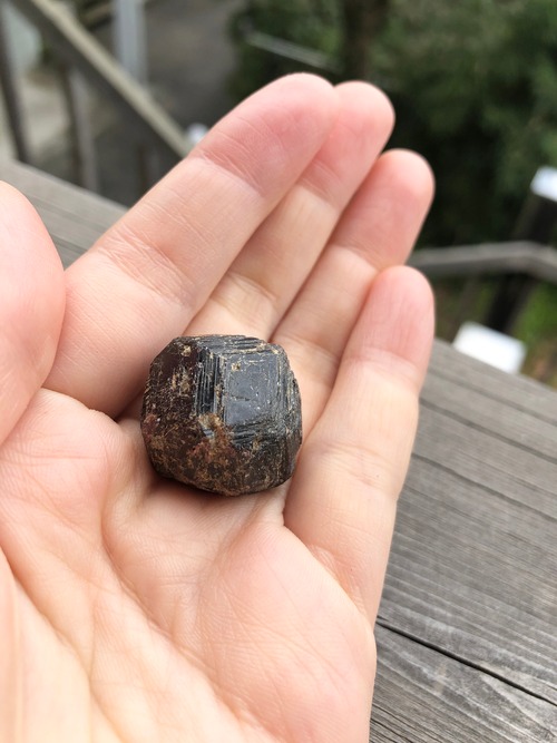 存在の愛おしさ