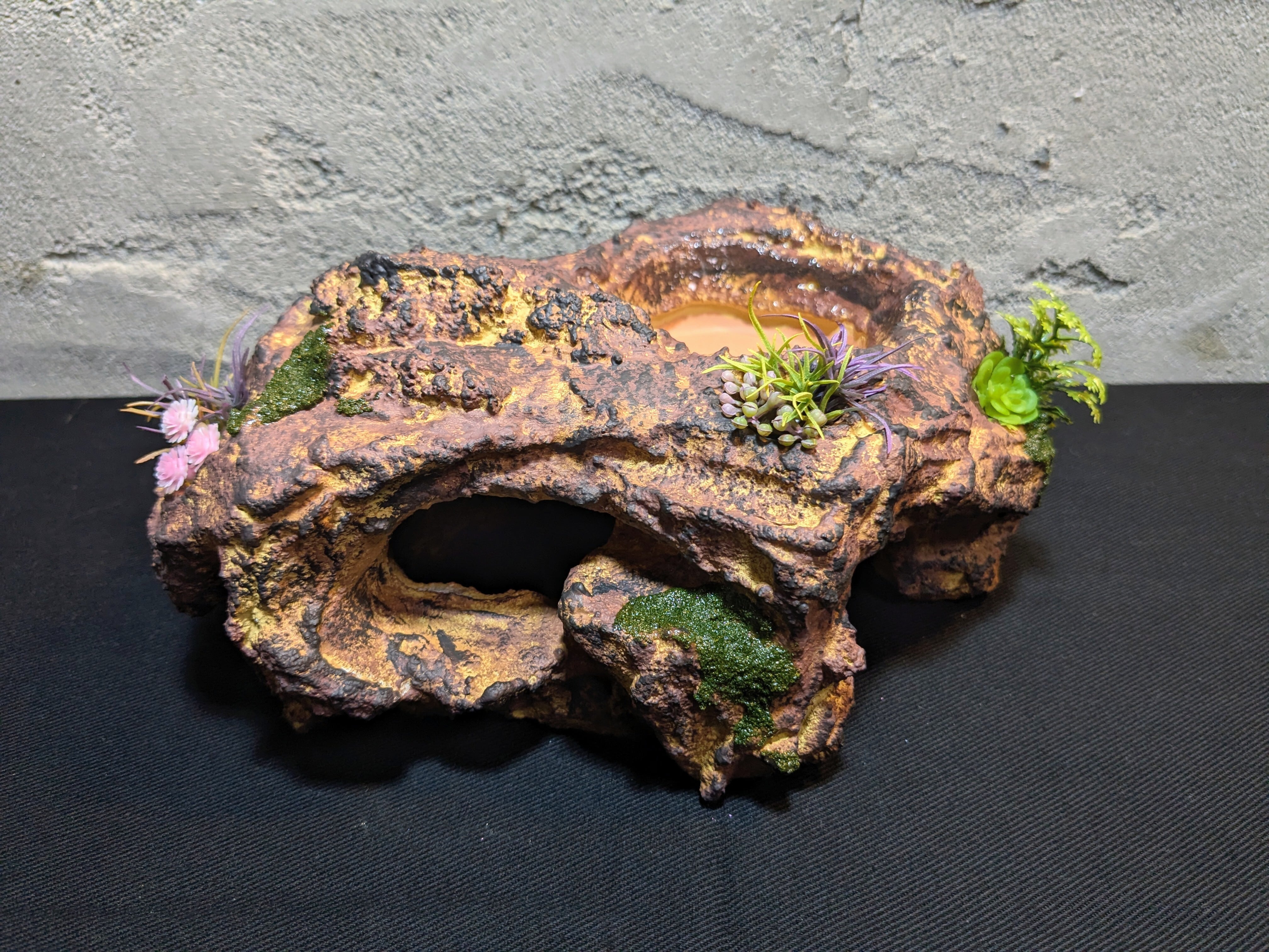 爬虫類用造形アート ともえ屋