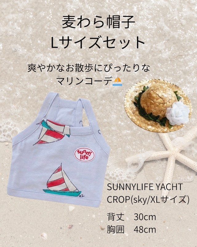 (即納)麦わら帽子Lサイズセット【THEREST OF LIFE】SUNNY LIFE YACHT CROP(sky/XLサイズ)