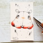 メンダコの子*ドローイング