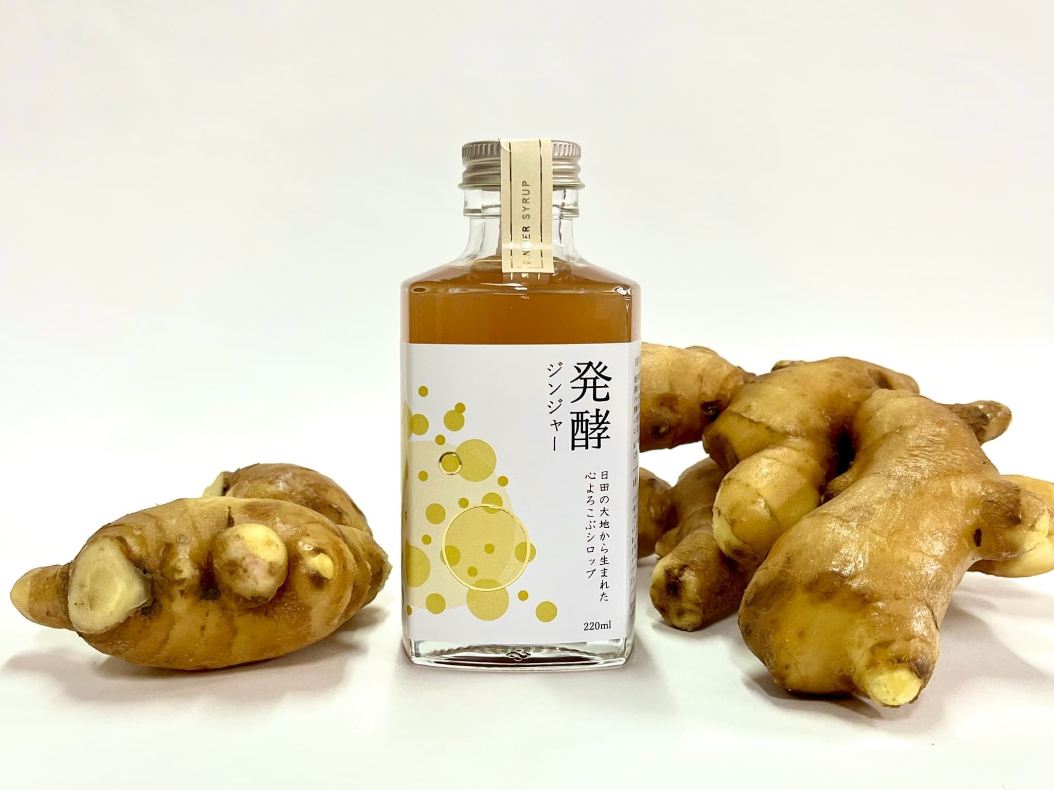 発酵ジンジャー | 株式会社インパクト