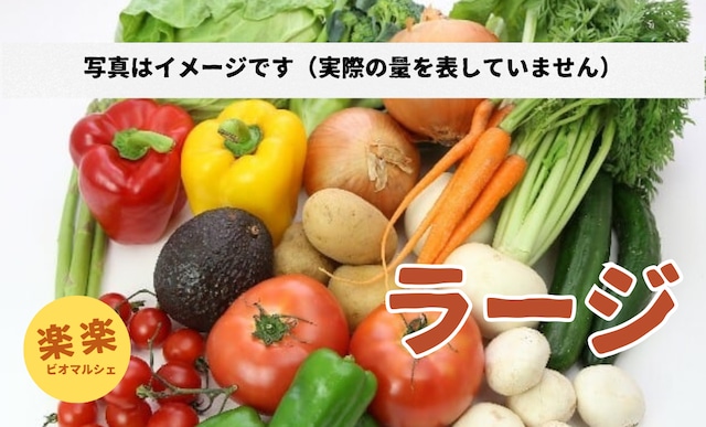 旬のオーガニック野菜セットラージサイズ