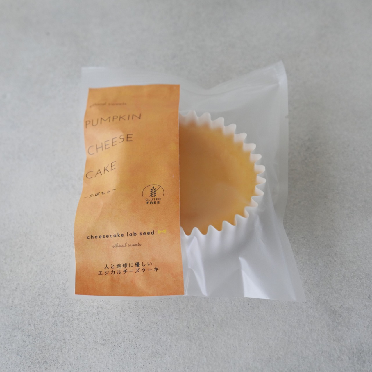 地球に優しいエシカルチーズケーキ -かぼちゃ-