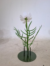 オーガンジー　ジャイアントフラワー　コスモス30cm　ピンク・ホワイト・グラデーションレッド