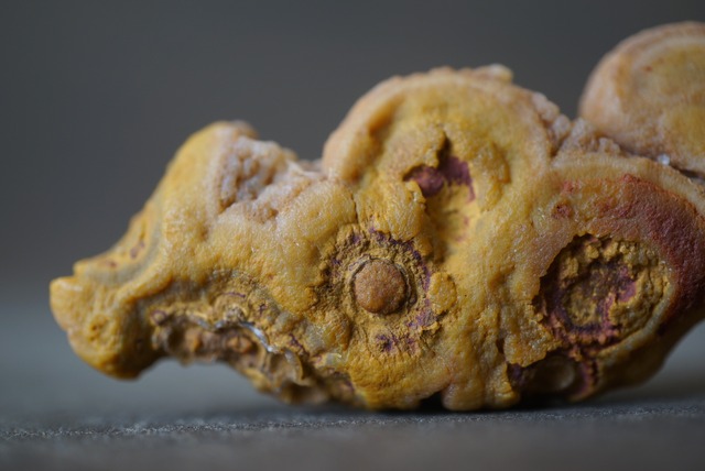 ゴビアゲート 特殊 Gobi Agate 1316